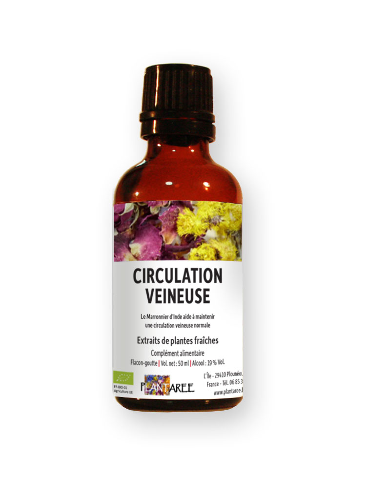 CHA-circulation-veineuse