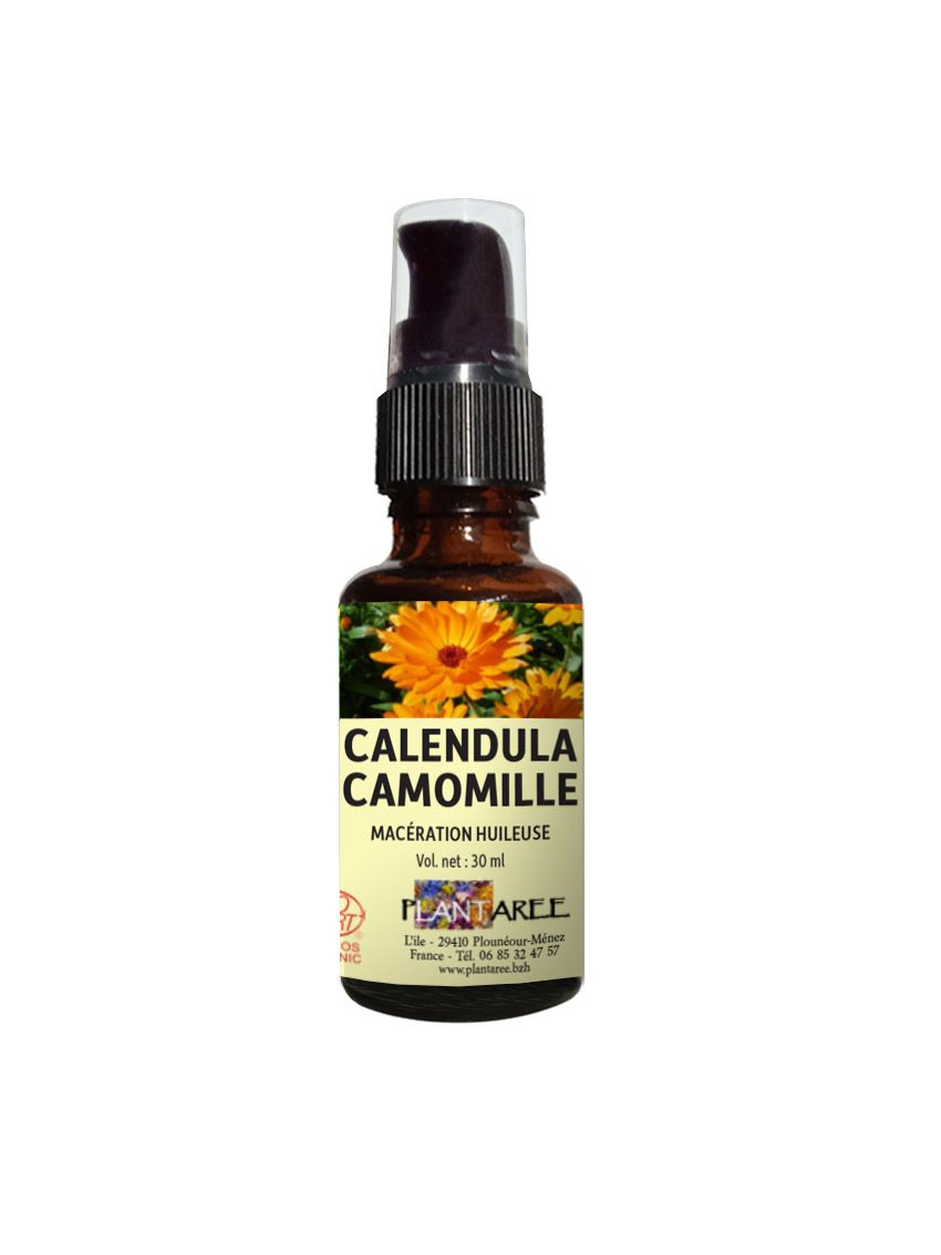 MHCalendula