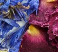 Gamme Apaisante (Cœur et artères, Complexes Cassis Plantain, Sommeil, Détente, Souplesse articulaire, Voies urinaires)