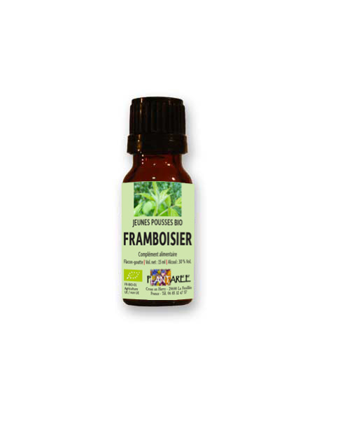 framboisier-gemmotherapie-plantaree